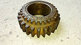 Шестірня Т-150 (151.37.046-2) z=24 старого зразка, фото 3
