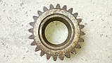 Шестірня Т-150 (151.37.046-2) z=24 старого зразка, фото 4
