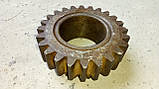 Шестірня Т-150 (151.37.046-2) z=24 старого зразка, фото 5