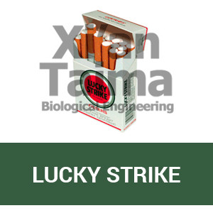 Xi'an Taima "Lucky strike"