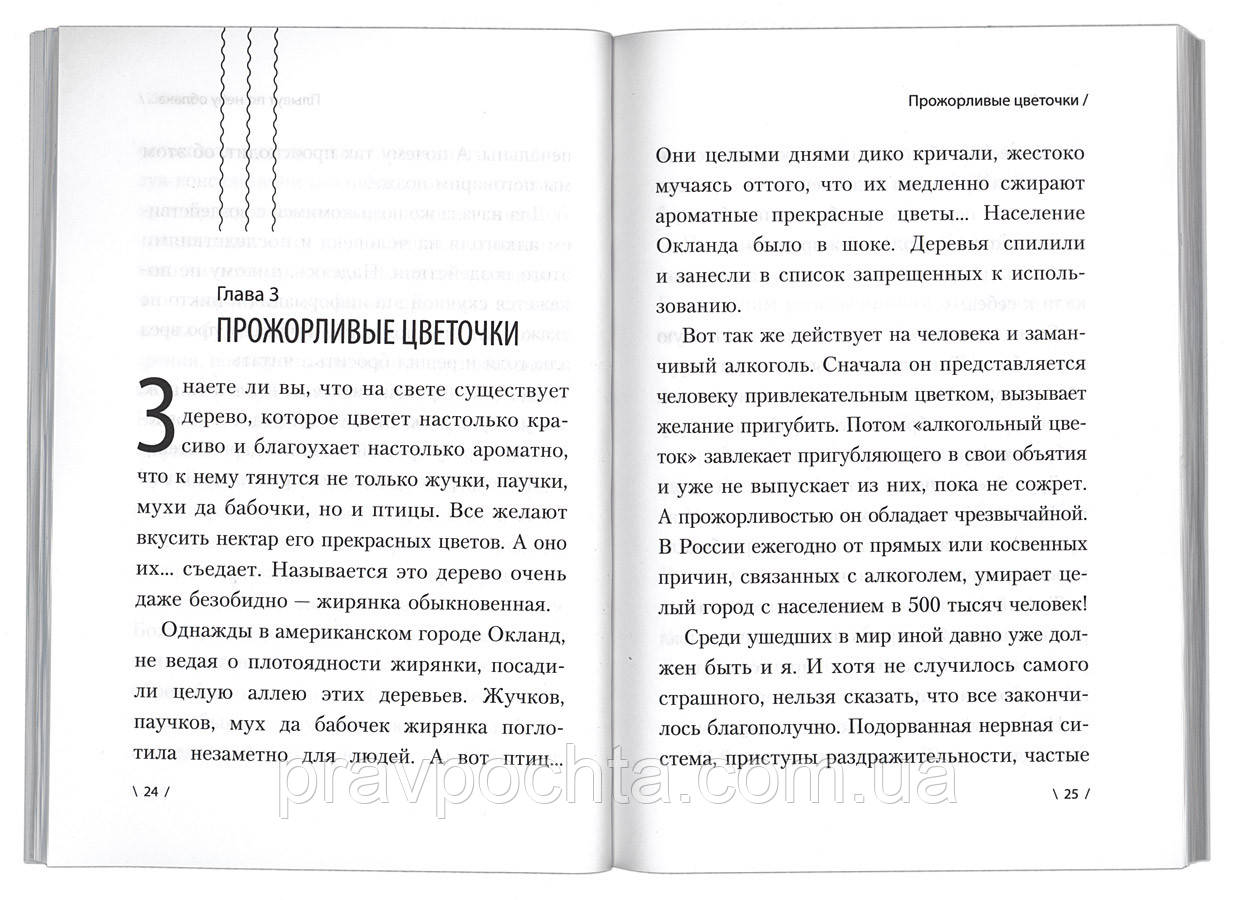 Как я бросил пить. Опыт борьбы с «зеленым змием». Литератор N. - фото 2 - id-p584096214