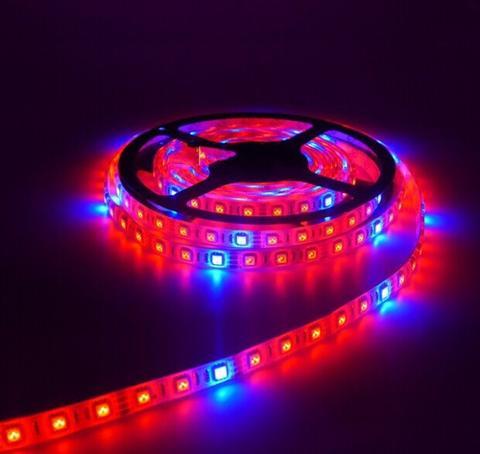 Фитолента светодиодная SMD 5050 (60 LED/m) IP65 ( 5красных + 1синий ) - фото 3 - id-p584192180