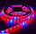 Фітострічка світлодіодна SMD 5050 (60 LED/m) IP65 (5червоних + 1синій), фото 4