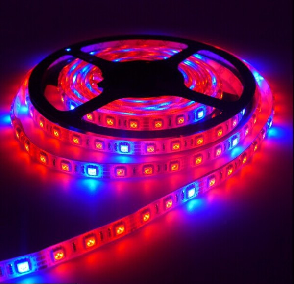 Фитолента светодиодная SMD 5050 (60 LED/m) IP65 ( 5красных + 1синий ) - фото 4 - id-p584192180