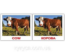 Комплект карток «Domestic animals/Дом.жив.» МИНИ 40