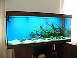 Оформлення акваріумів, фото 3