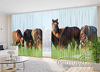 Фото Шторы "Лошади в поле" 2,7*5,0м (2 полотна по 2,0м), тесьма