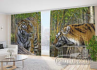 Фото Шторы "Преданность тигров" 2,7м*4,0м (2 полотна по 2,0м), тесьма