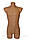 Чоловічий манекен тулуб (торс) Польща тілесного кольору з стегнами, фото 2
