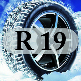 Шини R19
