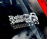 Тибетський Спніаль стикер, фото 2