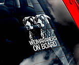 Веймаранер, веймарська легава (Weimaraner) стикер, фото 2