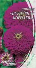 Насіння Квіти Цинія (Майорці) Пурпурна Королева 0,5 г Насіння України