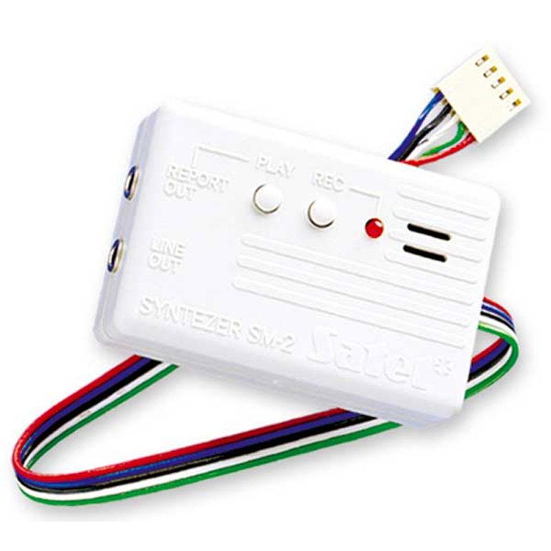 Satel SM-2