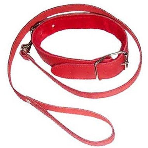 Нашийник із повідцем DS Fetish Collar with leash red