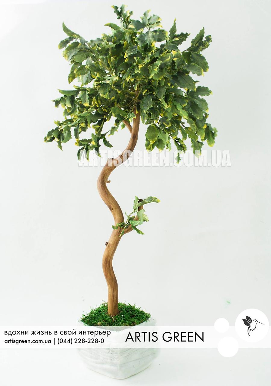 Стабілізована дерево "Артіс Лайм", топіарій без поливу та догляду! T8