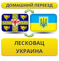 Домашній Переїзд із Лесковац в Україну