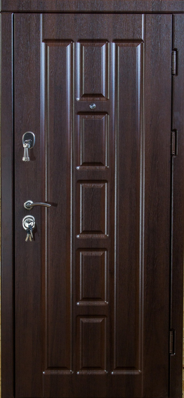 Двери входные Турин Темный орех - фото 1 - id-p586030271