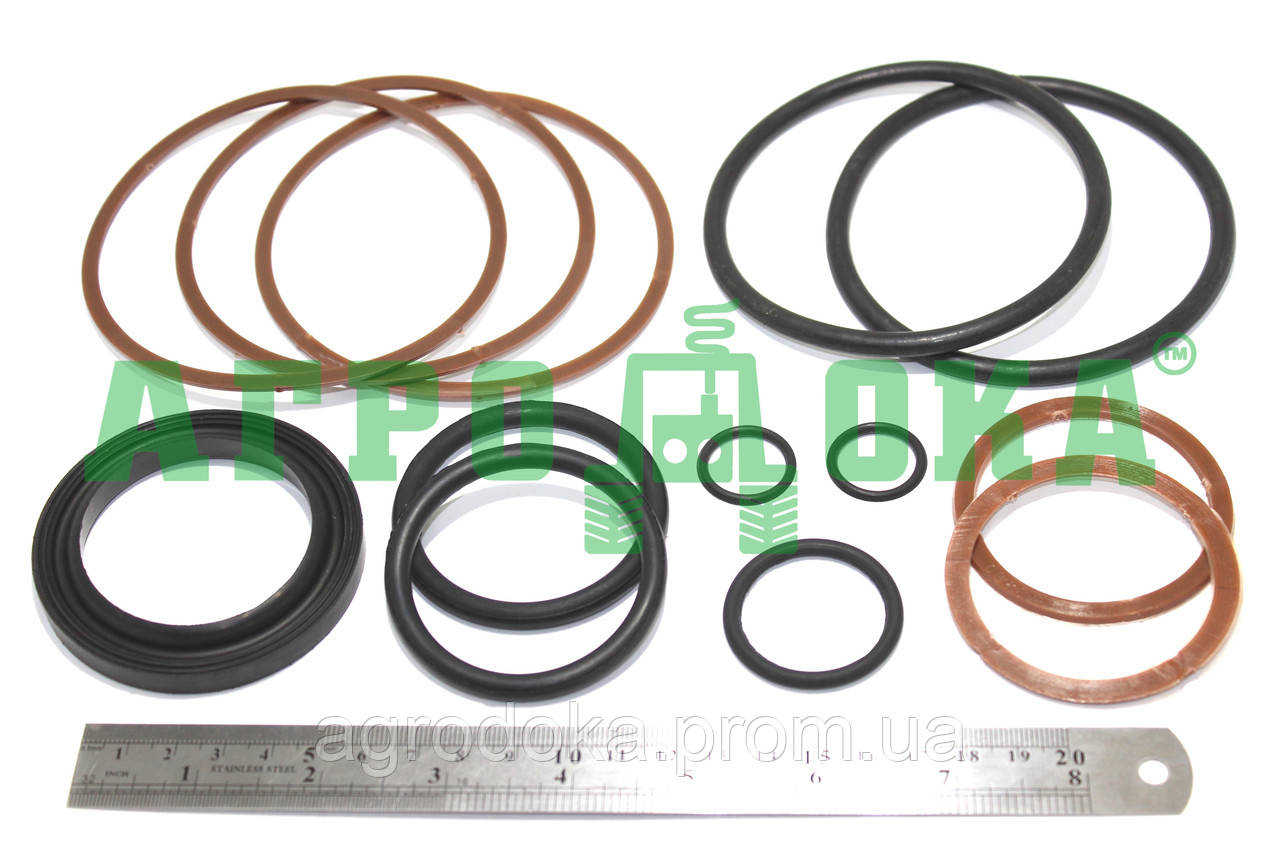 Ремкомплект гідроциліндра ЦС-100 (основний) (Т-4А), фото 1