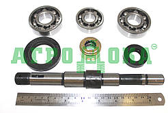Ремкомплект водяного насоса нового зразка (А-41, А-01, Д-442)