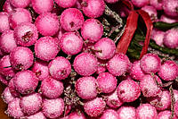Калина сахарная декоративная 12мм - цвет розовый