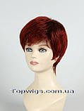 Перука 1777: колір 2T137, фото 2