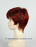 Перука 1777: колір 2T137, фото 3