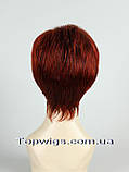 Перука 1777: колір 2T137, фото 4