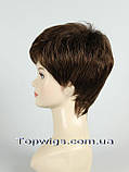 Перука 1777: 8 колір, фото 3