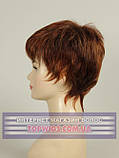 Перука 1777 (Термоволося): колір AB323, фото 3