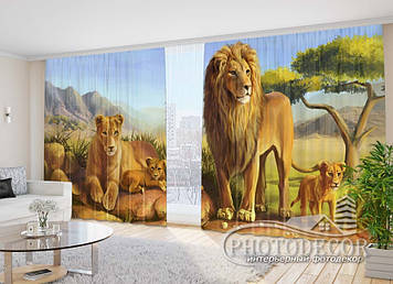 Фото Штори "Леви" 2,7м*5,0м (2 полотна по 2,5м), тасьма