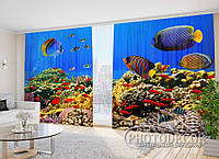 Фото Шторы "Экзотические рыбки" 2,7м*4,0м (2 полотна по 2,0м), тесьма