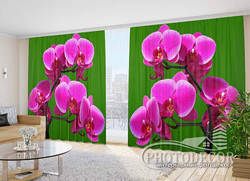 Фото Штори "Малинові орхідеї на зеленому фоні" - Будь-який розмір. Читаємо опис!
