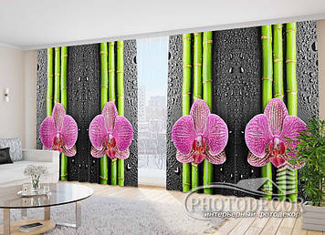 3D Фото Штори "Орхідеї і бамбук" - Будь-який розмір. Читаємо опис!
