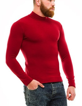 Водолазка гольф чоловічий Leliss однотонний класичний з коміром теплий на флісі бордо розмір