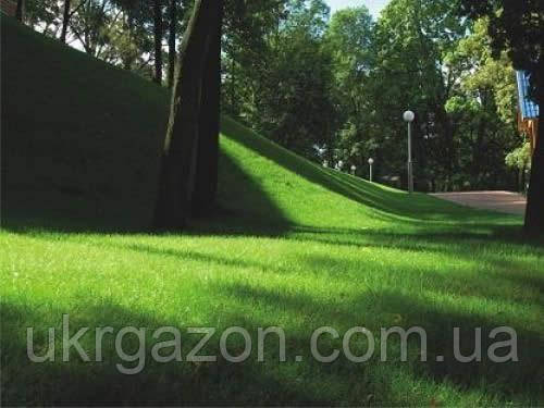 Тіневий газон( Садово-парковий газон)  5 кг, Урожай 2023