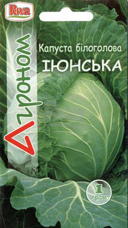 Насіння Капуста Іюнська 1 р Ріва Трейд, D, фото 1