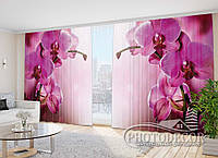 3D Фото Шторы "Пурпурная орхидея" - Любой размер. Читаем описание!