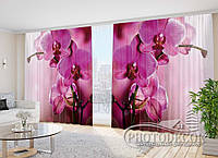 3D Фото Шторы "Пурпурная орхидея 2" 2,7м*2,9м (2 полотна по 1,45м), тесьма