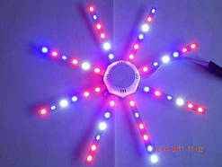 Фітосвітильник (світлодіодний) 24 W, PS-24