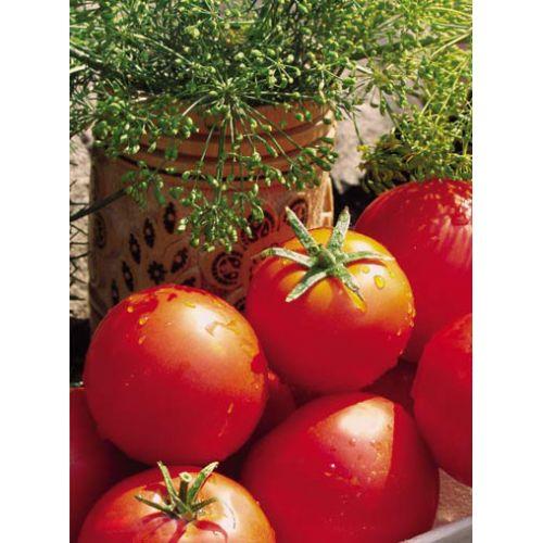 Семена томатов Баллада 1 кг , Польша