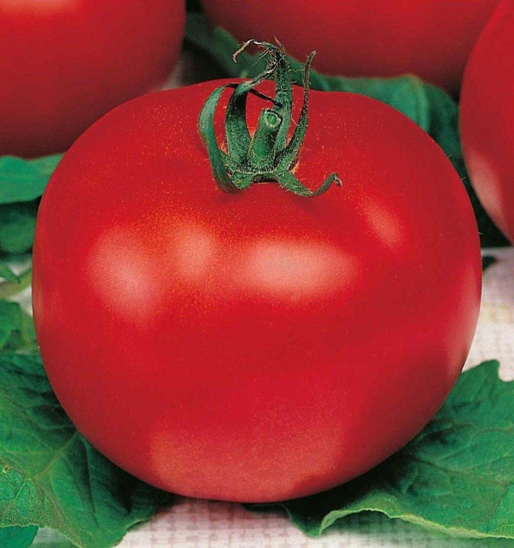 Семена томатов Виза 1 кг , Польша