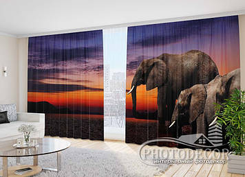 Фото Штори "Слони" 2,7м*4,0м (2 полотна по 2,0м), тасьма