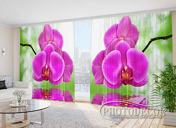 Фото Штори "Малинова гілка" 2,7м*2,9м (2 полотна по 1,45м), тасьма