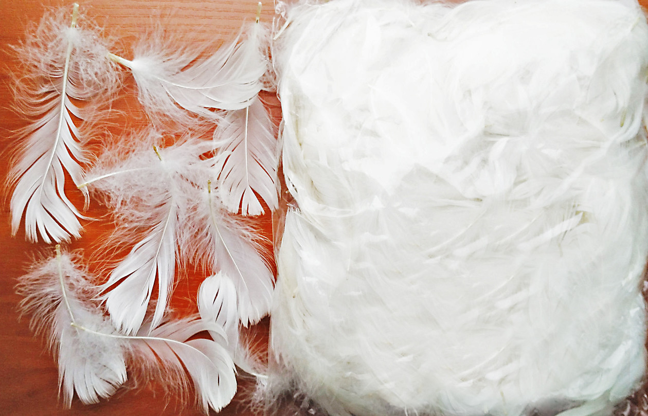 Пір'я білі для декорування (120 шт, 5-10 см), фото 1