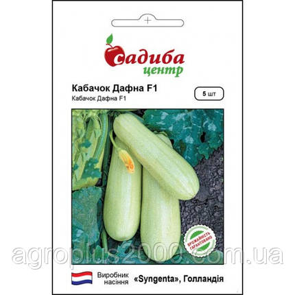 Насіння Кабачок кущовий Дафна F1, 5 насіння Syngenta Seed, фото 1