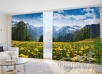 Фото Штори з Природою 2,7 м*2,9 м (карниз 2,9 м)