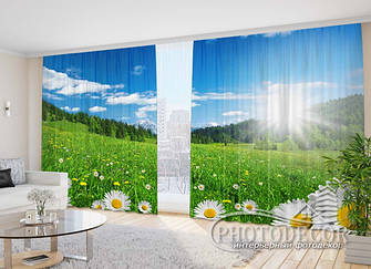 Фото Штори з Природою 2,7 м*5,0 м (карниз 5м)