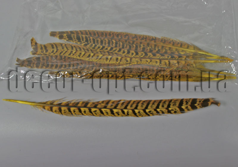 Пір'я фазана жовті 18-23 см/10 шт.