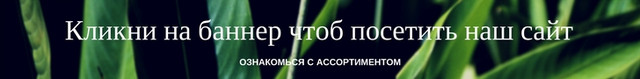 Баннер для перехода на сайт